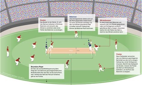 cricket spielregeln